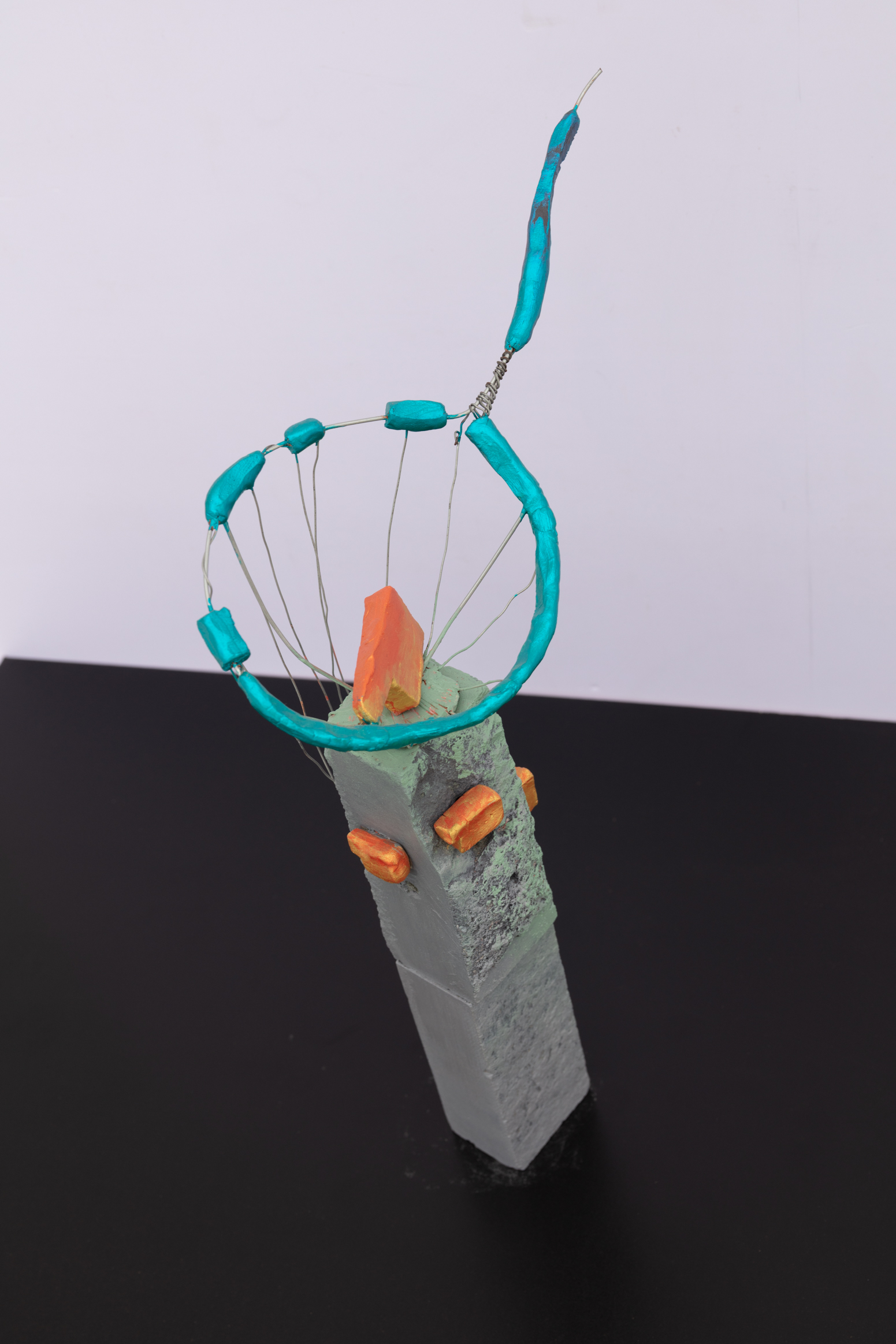 A Fish in the Net