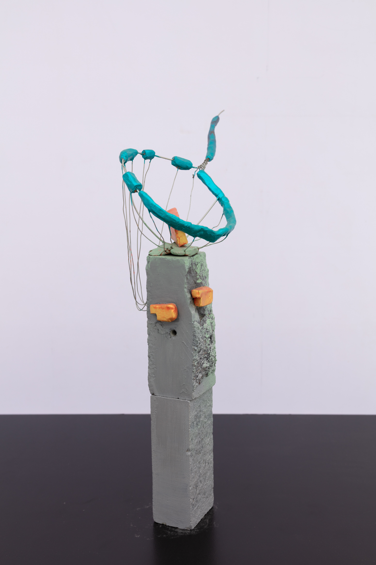 A Fish in the Net